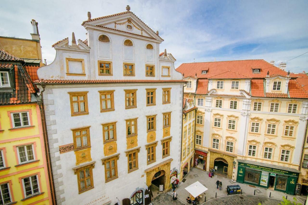 Spot * Praga